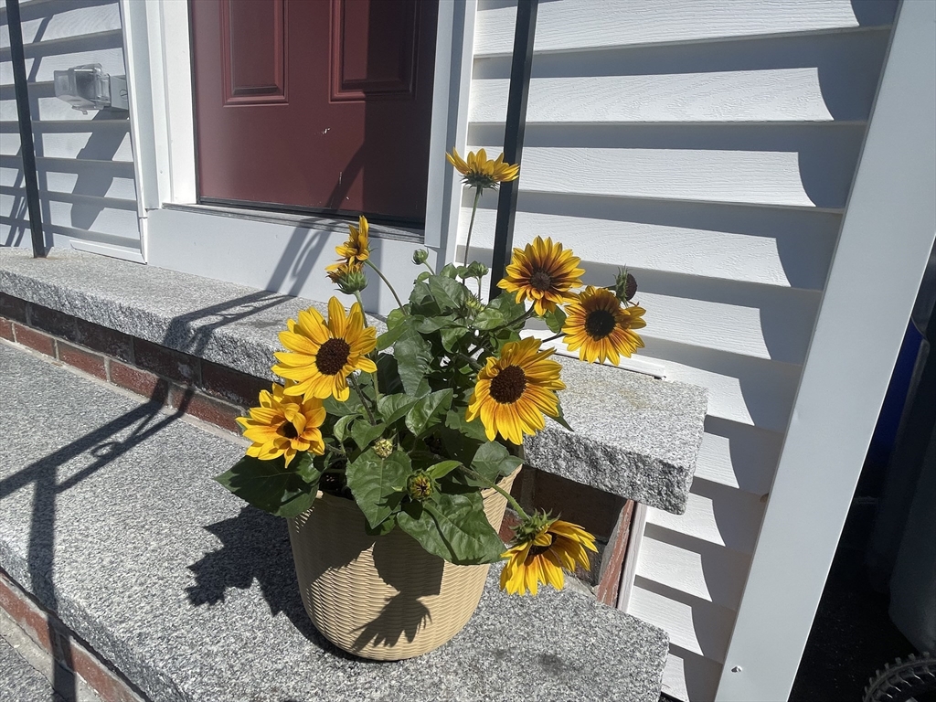 6 Poplar Street Milford, MA 01757 - Photo 2 of 33