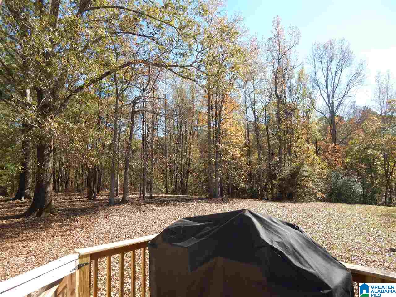 2930 Mt View Road Hayden, AL 35079 - Photo 9 of 27