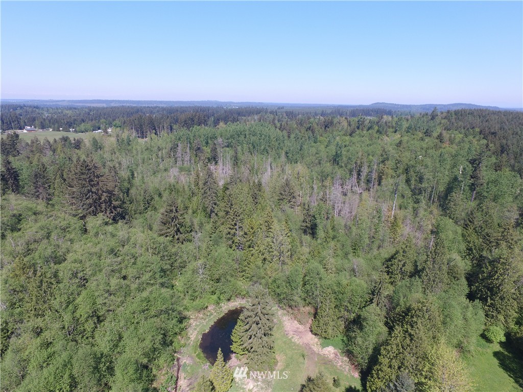20409 Patterson Road East Orting, WA 98360 - Photo 2 of 25