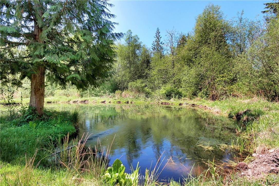 20409 Patterson Road East Orting, WA 98360 - Photo 25 of 25