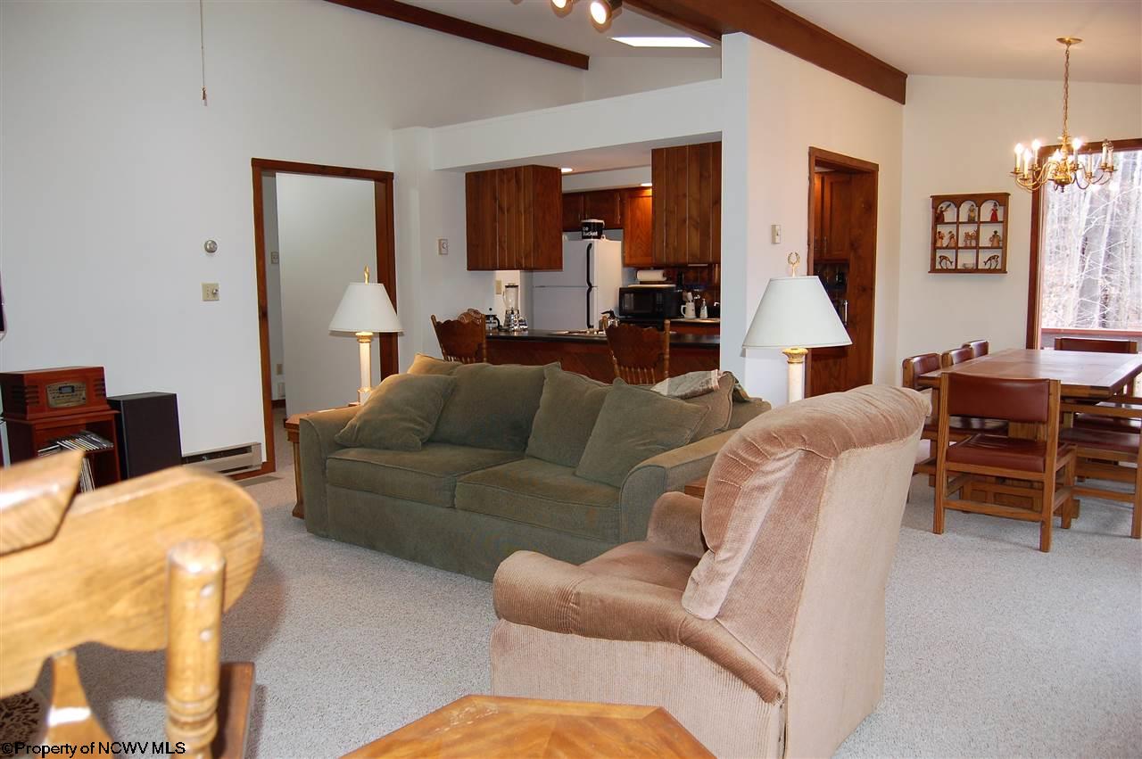 454 Cabin Mountain Road Davis, WV 26260 - Photo 10 of 20 Gallery Image 10