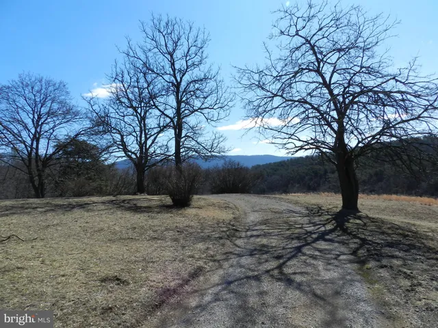 a view of a backyard of the house