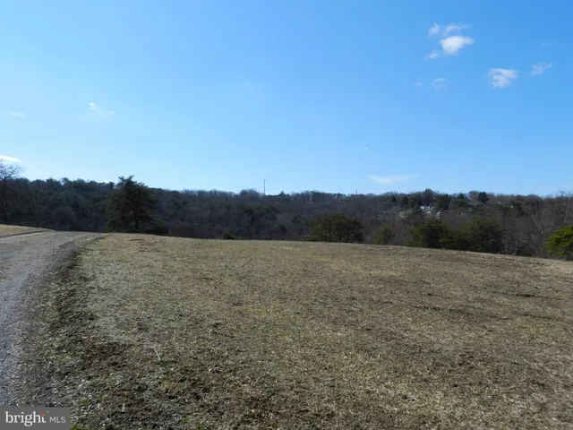 a view of a backyard with large trees