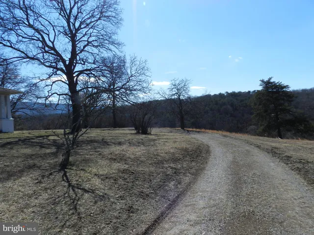 a view of dirt yard with a tree