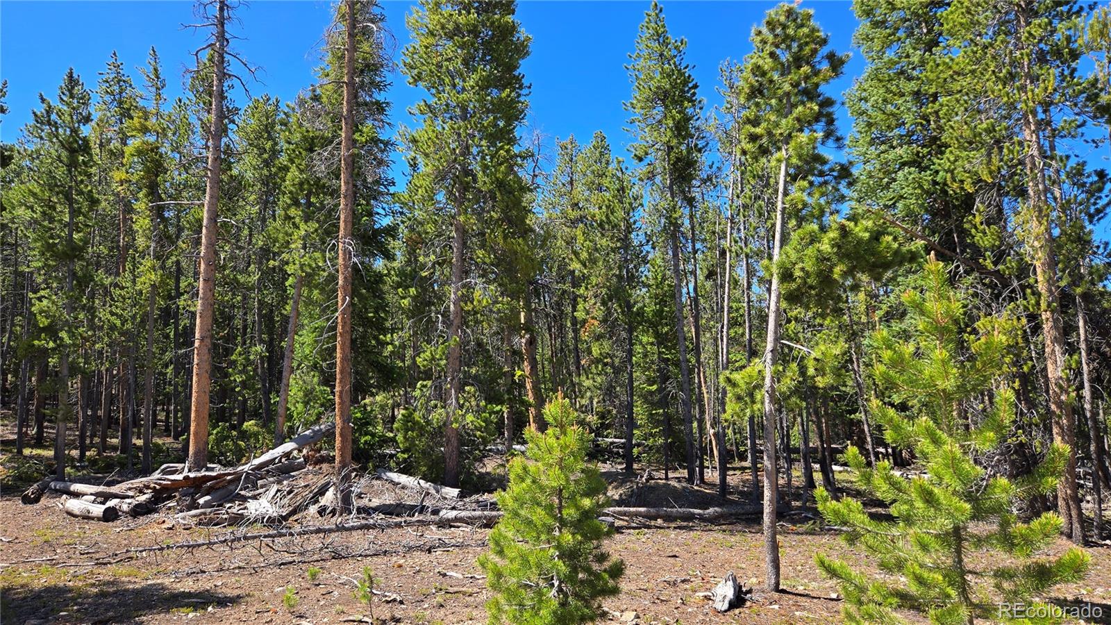 0 Summit Gulch Road Breckenridge, CO 80424 - Photo 15 of 31