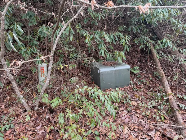a view of a yard with plants and trees