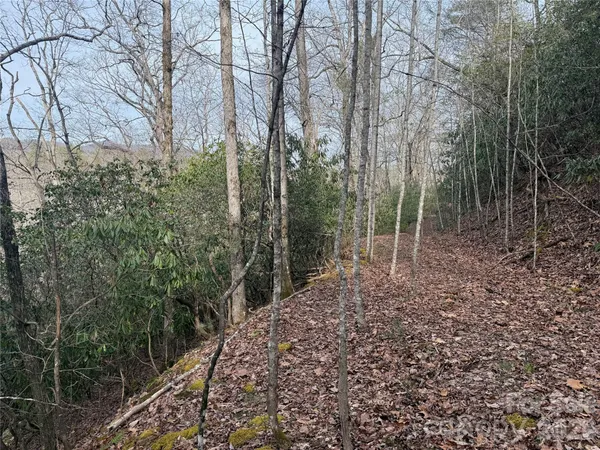 a view of water with lots of trees