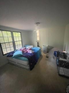 1184 Robert Hardeman Road Winterville, GA 30683 - Photo 20 of 20 a bedroom with bed couch and window