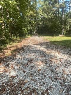 1184 Robert Hardeman Road Winterville, GA 30683 - Photo 6 of 20 a view of a yard with a tree