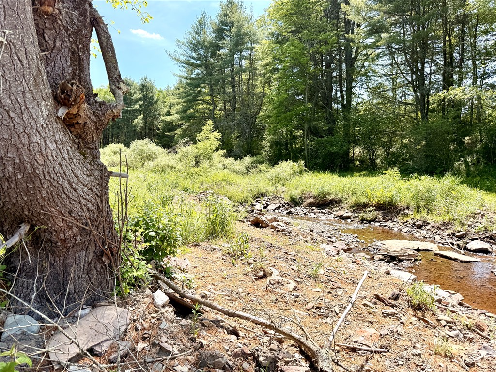Copes Corners Road South New Berlin, NY 13843 - Photo 5 of 10