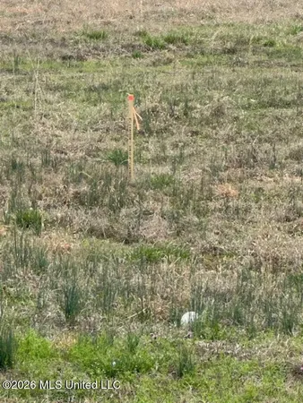 $36,000 | West Alden Lake Drive East, Horn Lake, MS 38637