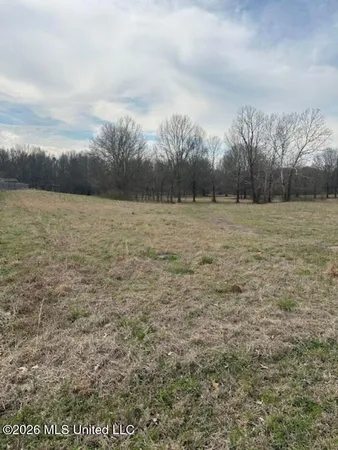 $36,000 | West Alden Lake Drive East, Horn Lake, MS 38637