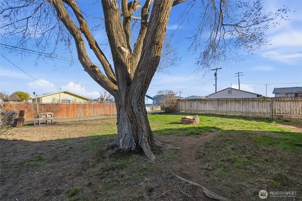 a view of a yard in front of a house with a large tree