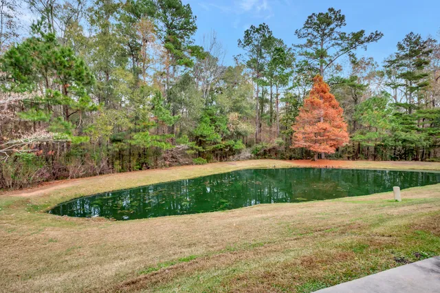 $1,950 | 339 Flyway Road, Goose Creek, SC 29445