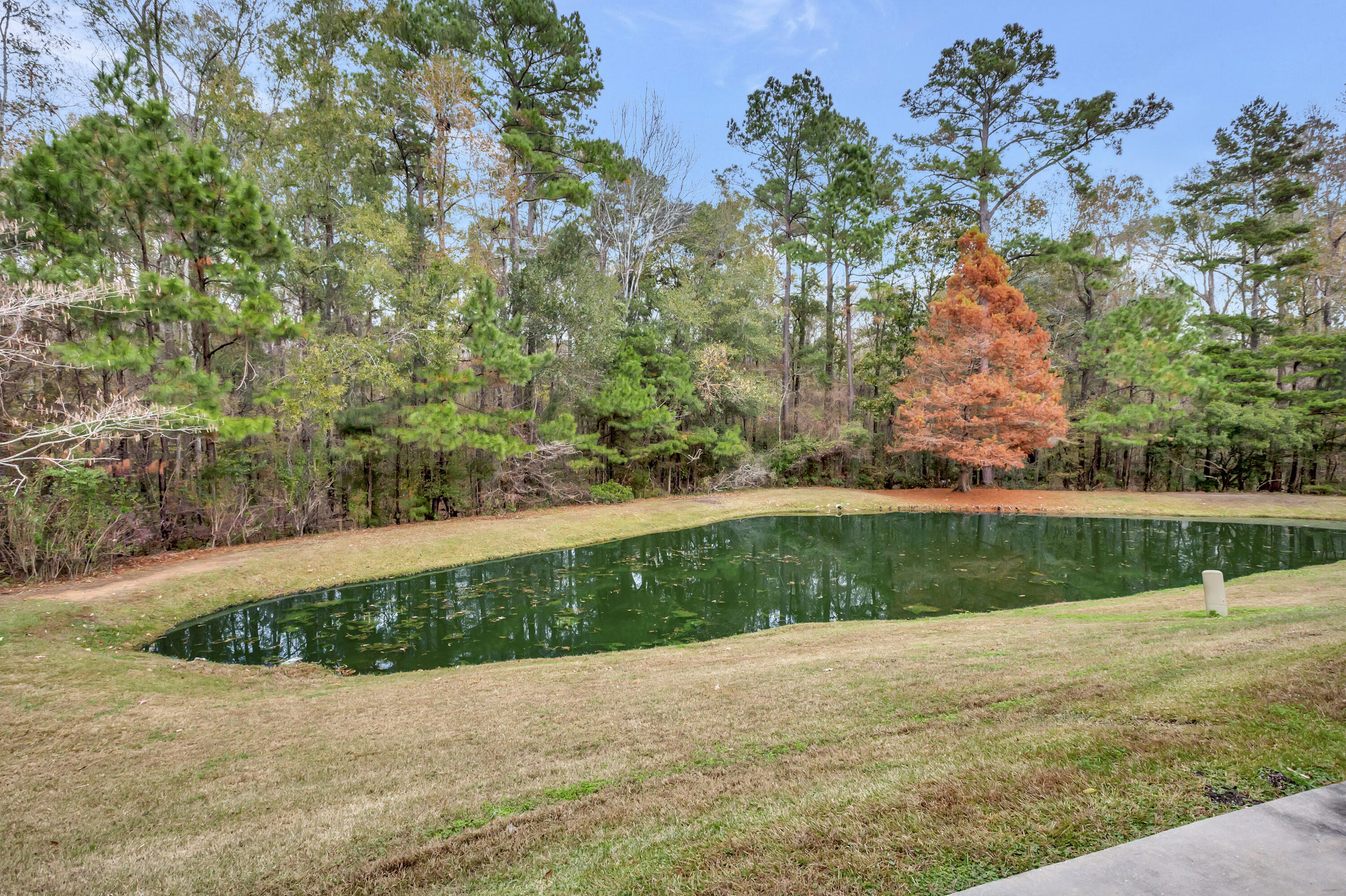 339 Flyway Road Goose Creek, SC 29445 - Photo 25 of 26 296A1197