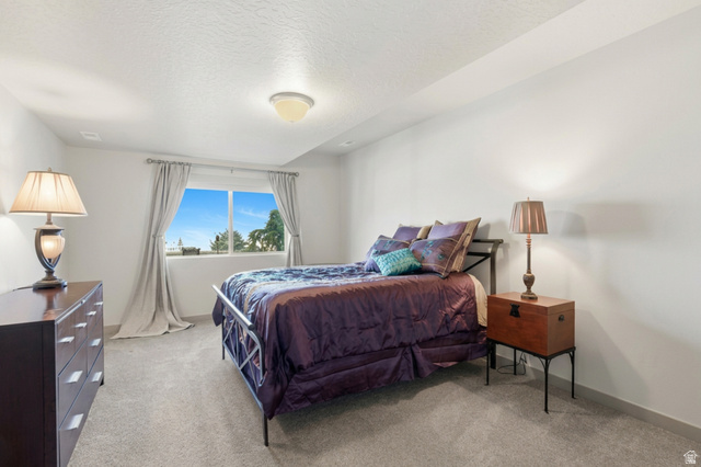 987 East Deer Arch Lane Draper, UT 84020 - Photo 38 of 46 Bedroom #4 featuring light carpet and a textured ceiling