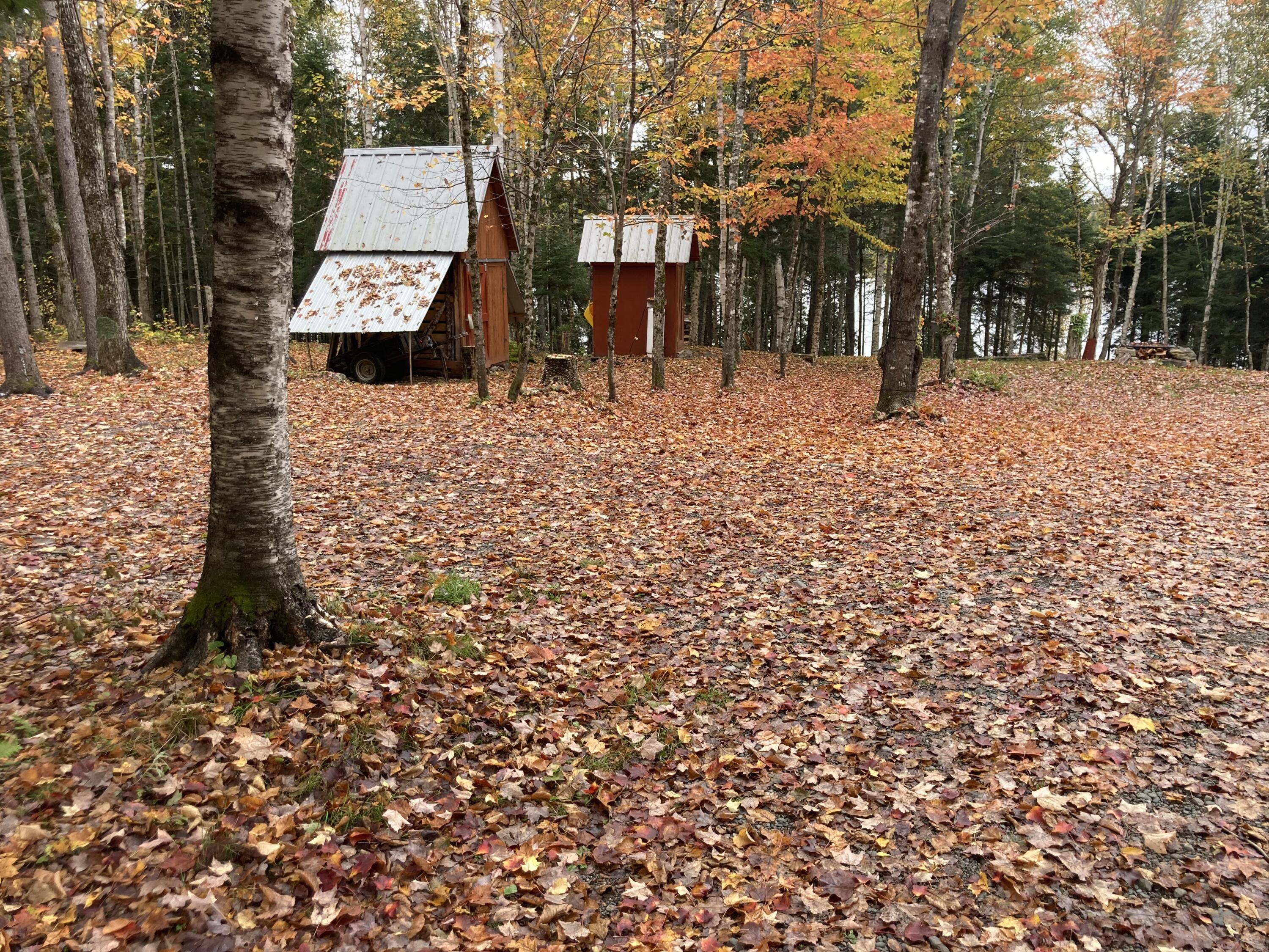 999 Upper Lapomkeag Road Oxbow, ME 04764 - Photo 24 of 41 Outbuildings