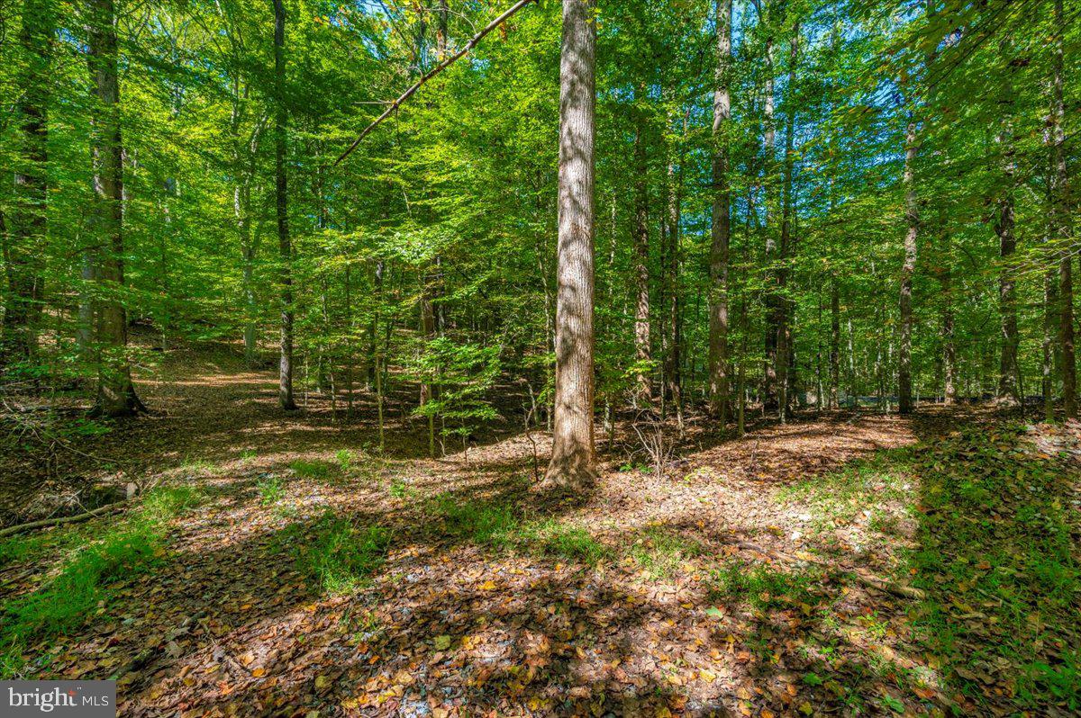 Jesse Smith Rd Mount Mount Airy, MD 21771 - Photo 11 of 52 a view of outdoor space with trees