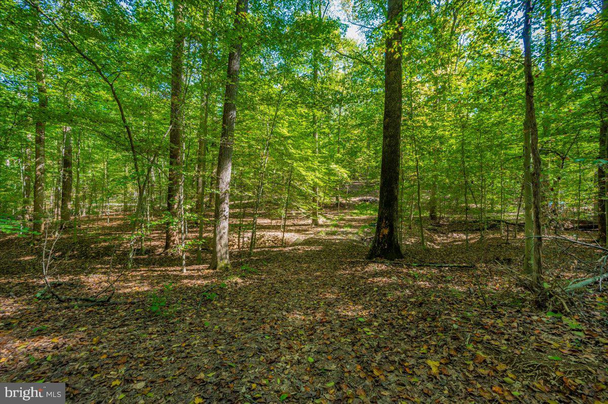 Jesse Smith Rd Mount Mount Airy, MD 21771 - Photo 17 of 52 a view of a garden