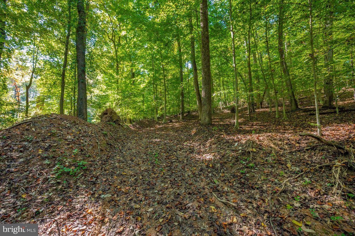 Jesse Smith Rd Mount Mount Airy, MD 21771 - Photo 21 of 52 a view of outdoor space and green space