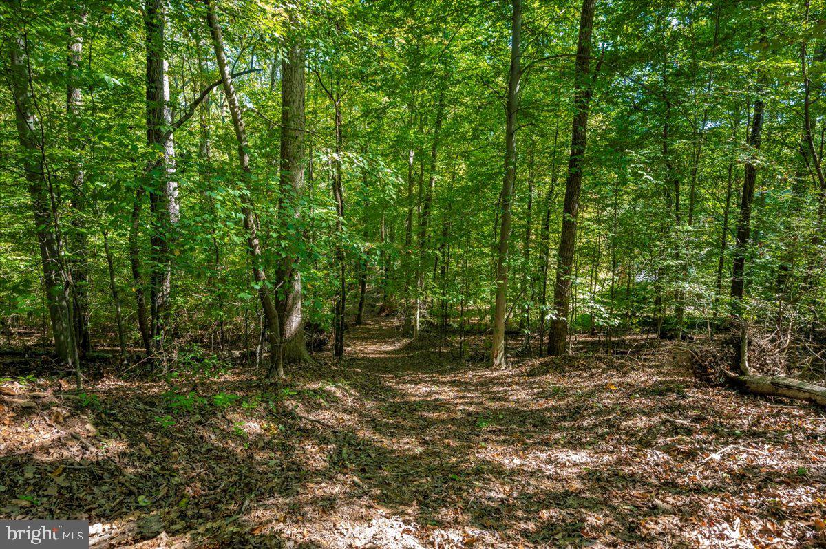 Jesse Smith Rd Mount Mount Airy, MD 21771 - Photo 26 of 52 a big yard with lots of green space and house in the back