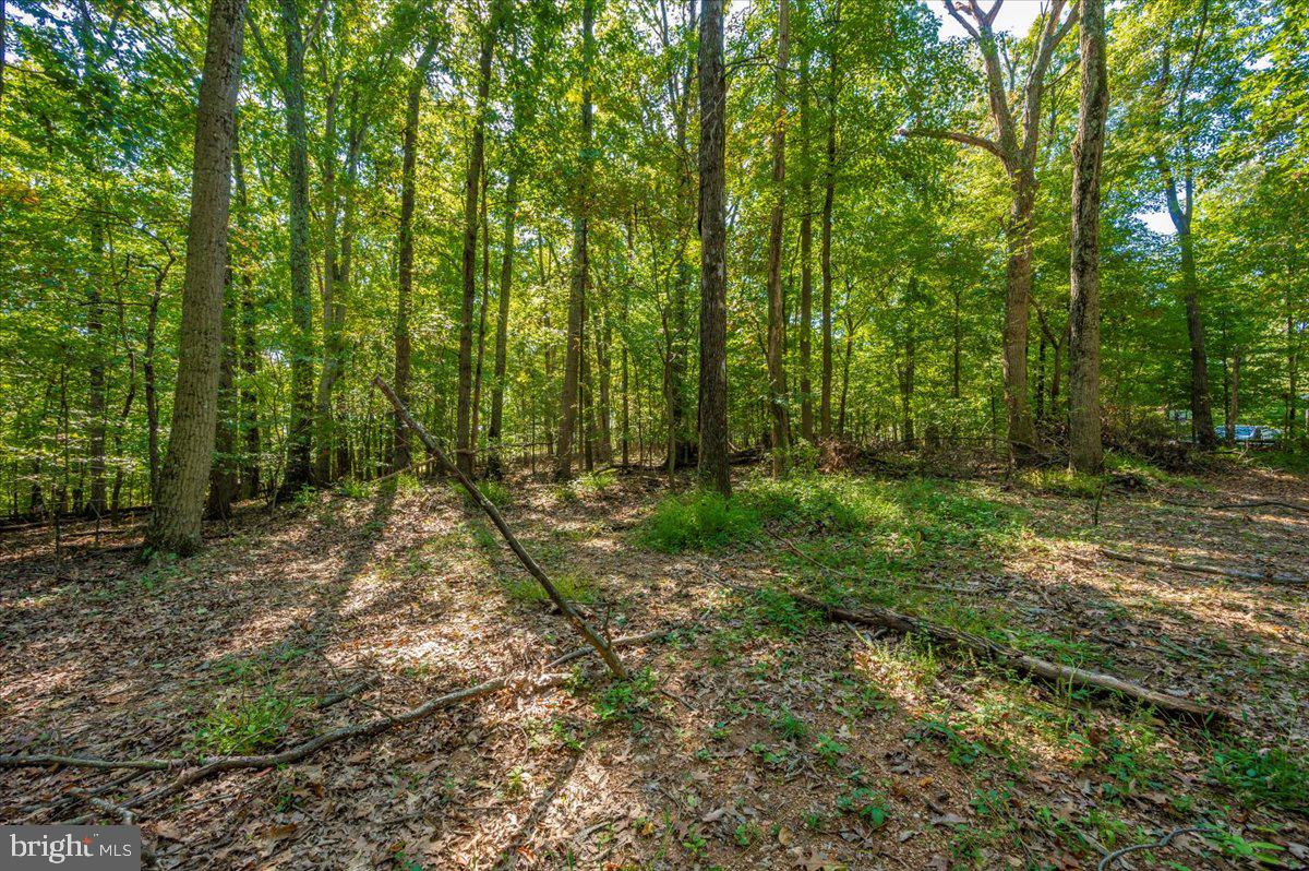 Jesse Smith Rd Mount Mount Airy, MD 21771 - Photo 32 of 52 a backyard of a house with lots of green space