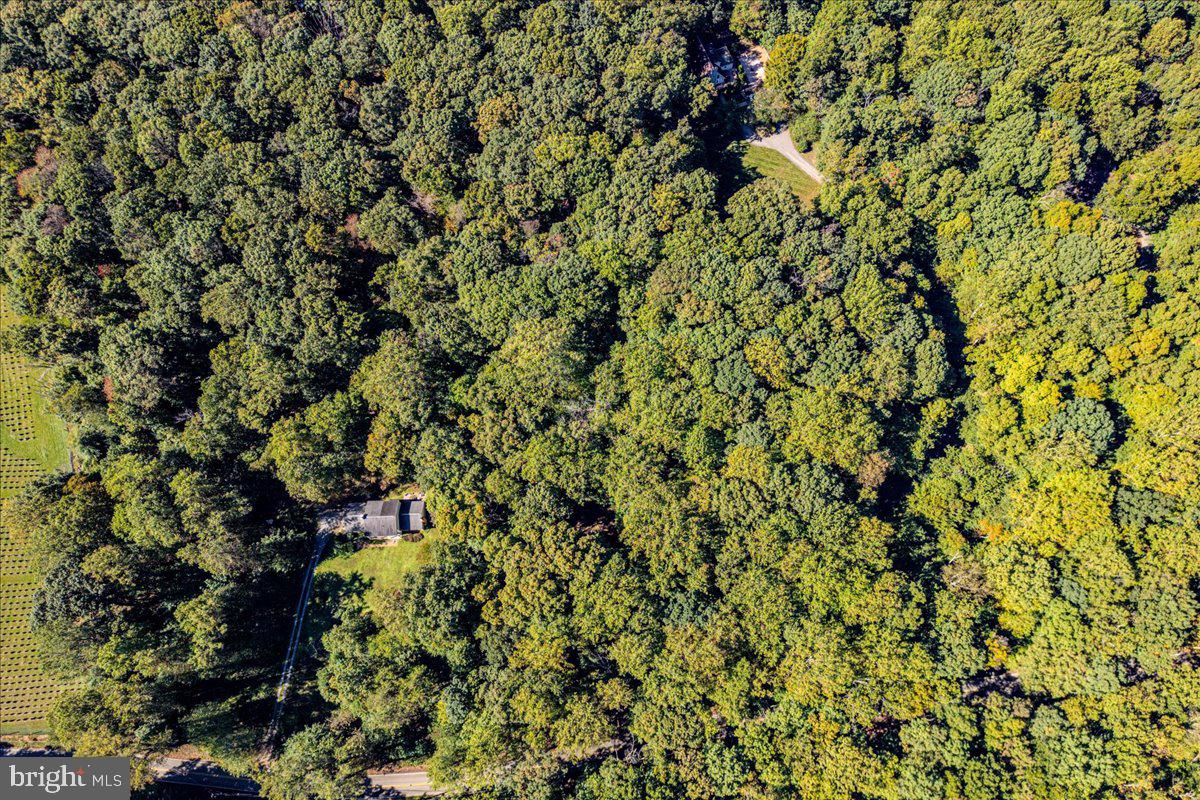 Jesse Smith Rd Mount Mount Airy, MD 21771 - Photo 42 of 52 a view of a tree