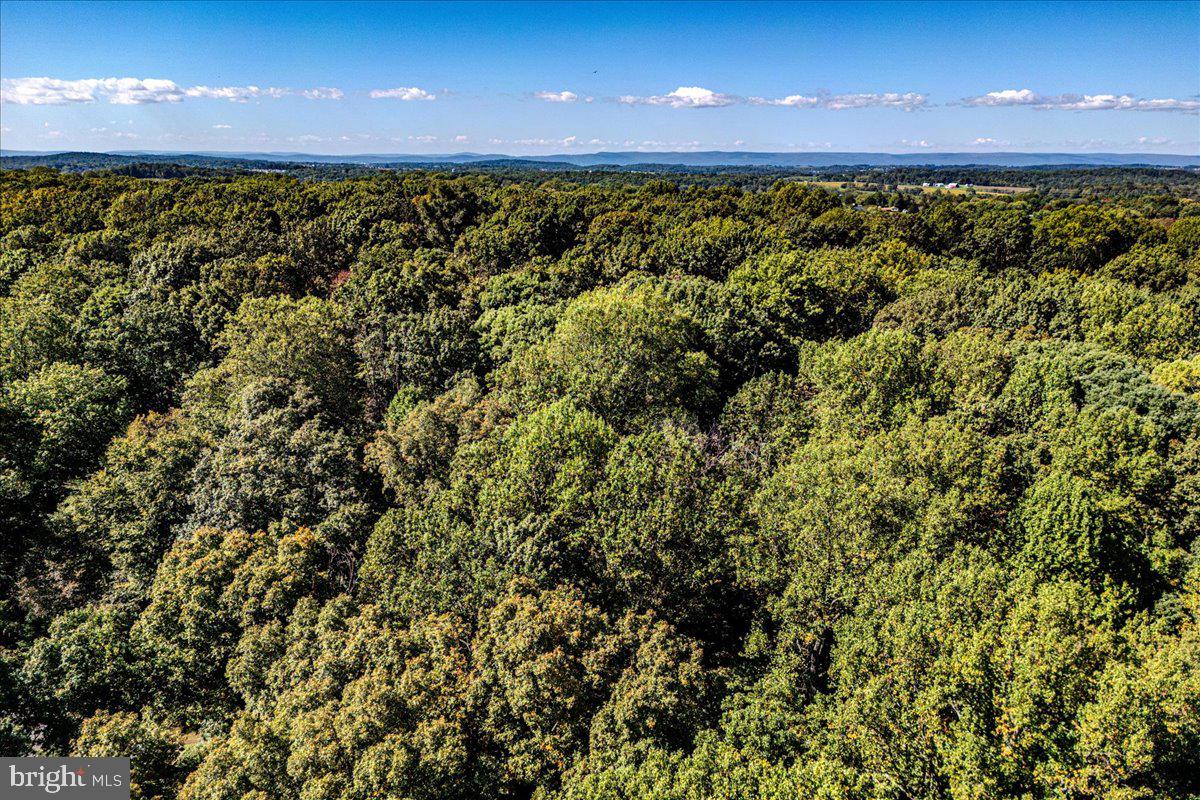 Jesse Smith Rd Mount Mount Airy, MD 21771 - Photo 45 of 52 a view of a large building under an umbrella