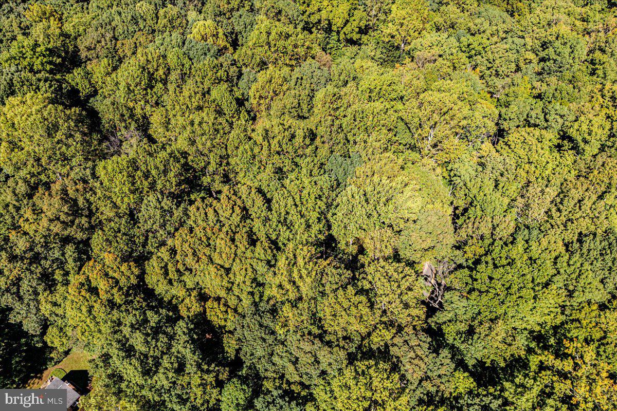 Jesse Smith Rd Mount Mount Airy, MD 21771 - Photo 47 of 52 a view of a yard