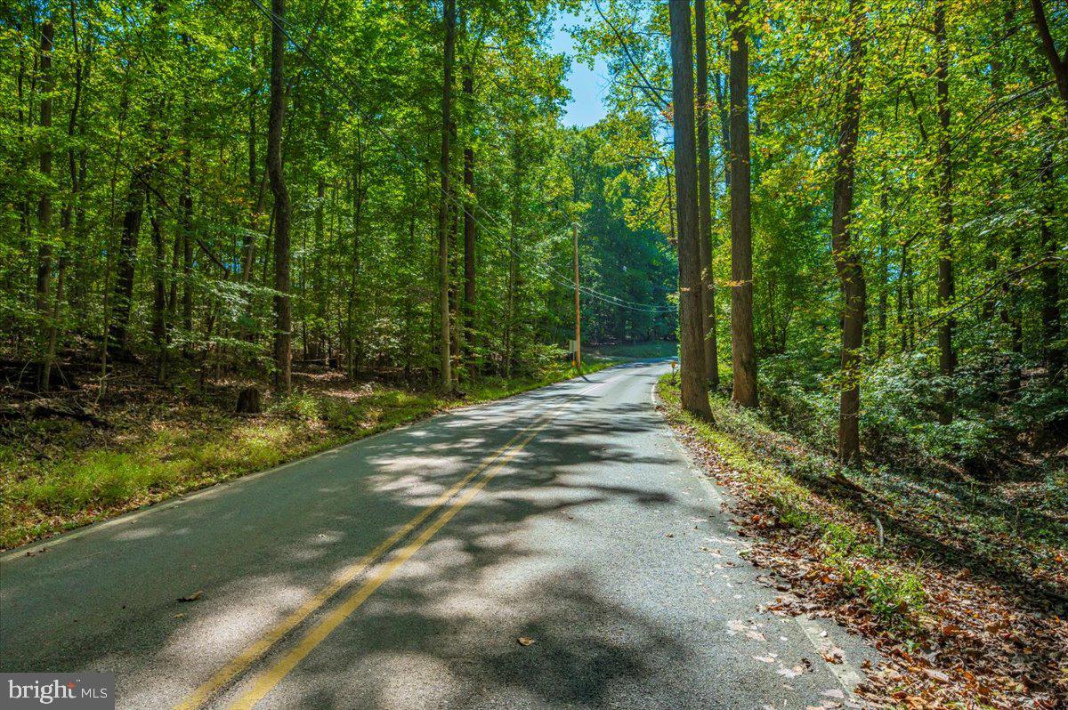 Jesse Smith Rd Mount Mount Airy, MD 21771 - Photo 7 of 52 a view of a yard with large trees