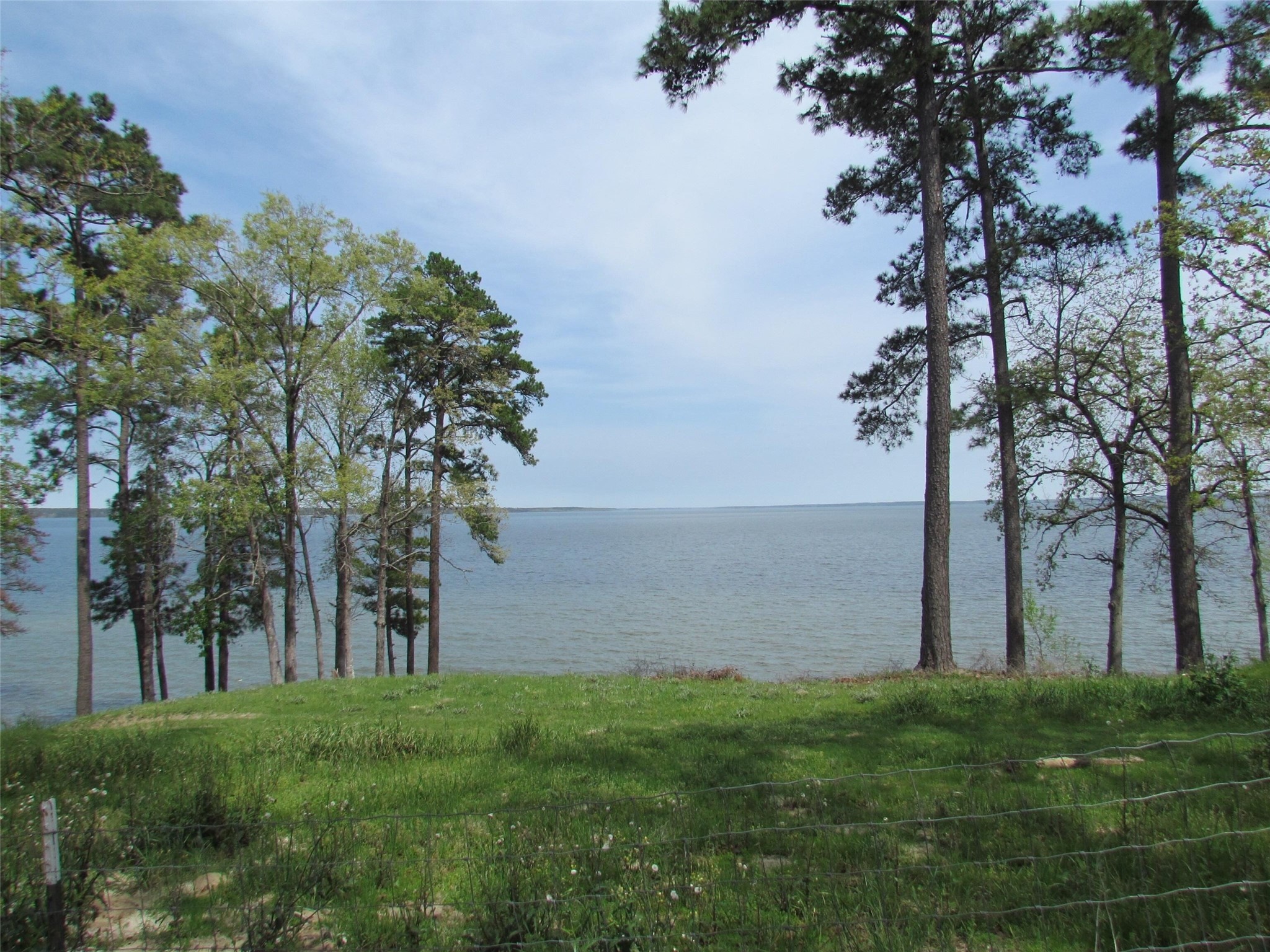 1888 Pr Road 6065 Jasper, TX 75951 - Photo 3 of 7 a view of a backyard