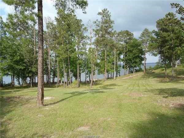 1888 Pr Road 6065 Jasper, TX 75951 - Photo 4 of 7 a view of a tree in a yard