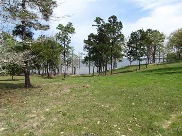 1888 Pr Road 6065 Jasper, TX 75951 - Photo 5 of 7 a view of a park with large trees