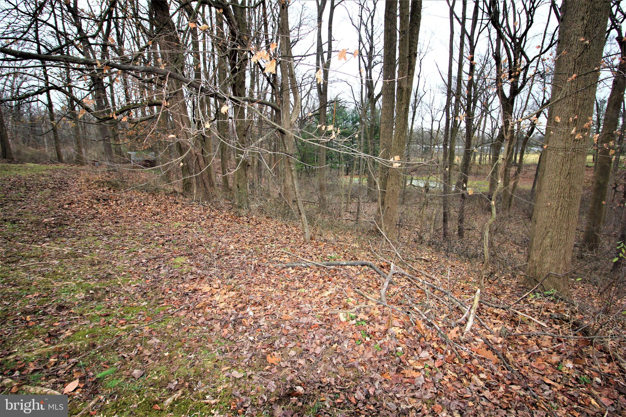180 Speedwell Forge Road, Unit 2 Lititz, PA 17543 - Photo 7 of 10