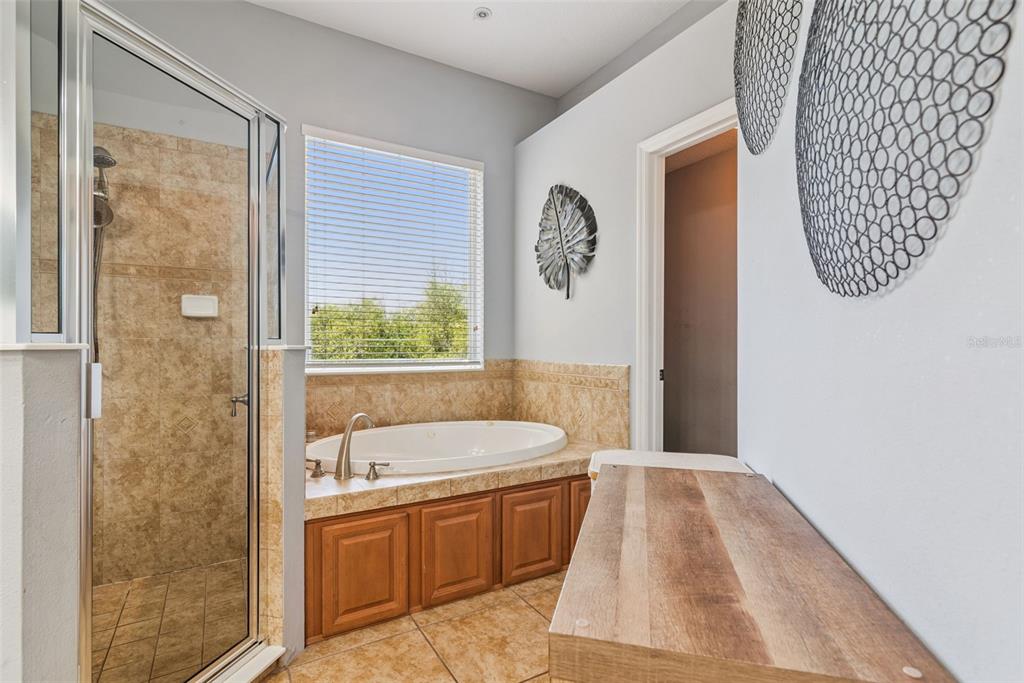 6322 Rolden Court Mount Dora, FL 32757 - Photo 28 of 49