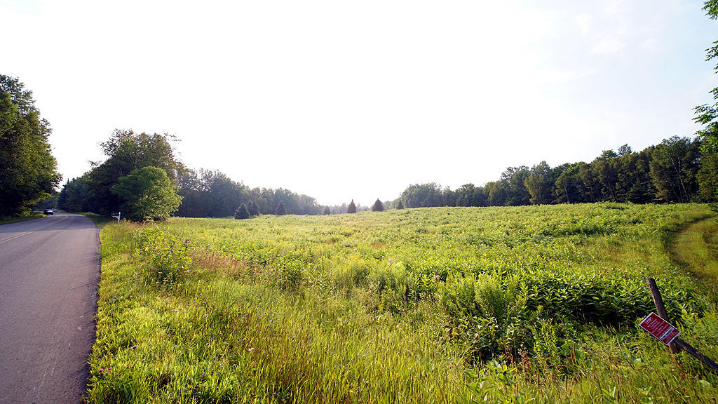 Lot 9-1 New Limerick Road Houlton, ME 04730 - Photo 25 of 40 leisner-maine-land-13