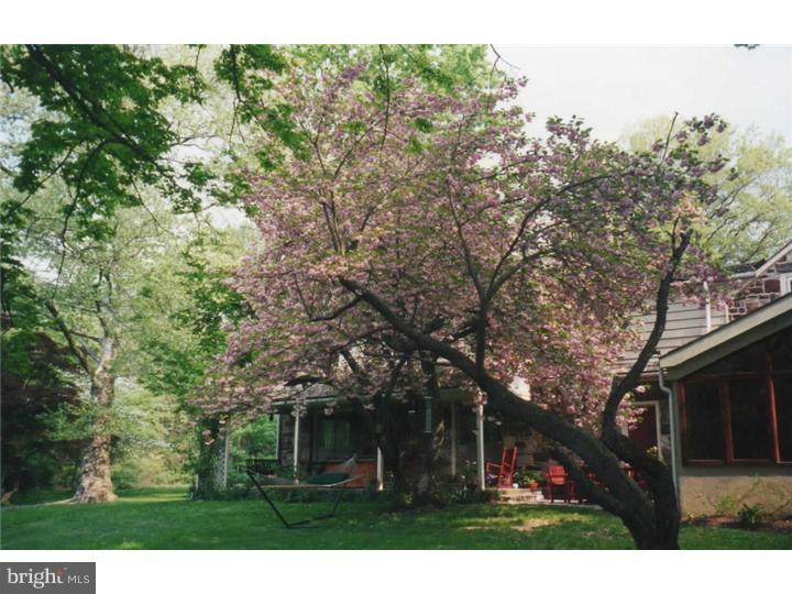 504 Norristown Road Spring House, PA 19002 - Photo 22 of 23 Gallery Image 22
