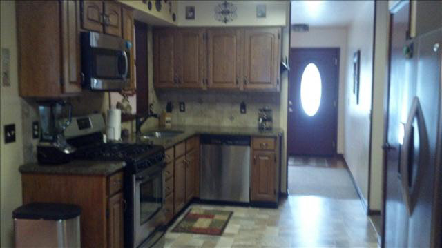 10283 Summerfield Road Temperance, MI 48182 - Photo 4 of 20 Cabinets galore