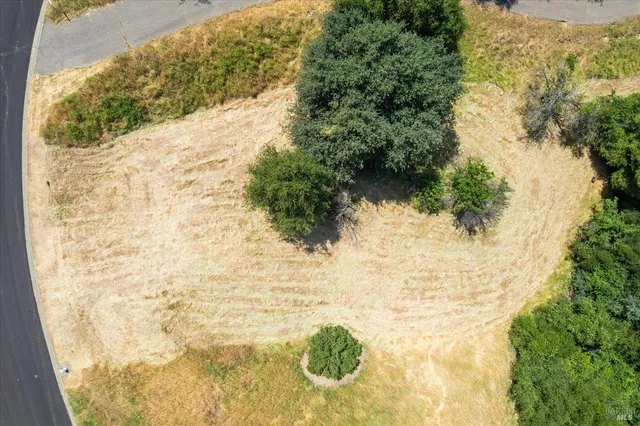 a view of a pathway with a yard