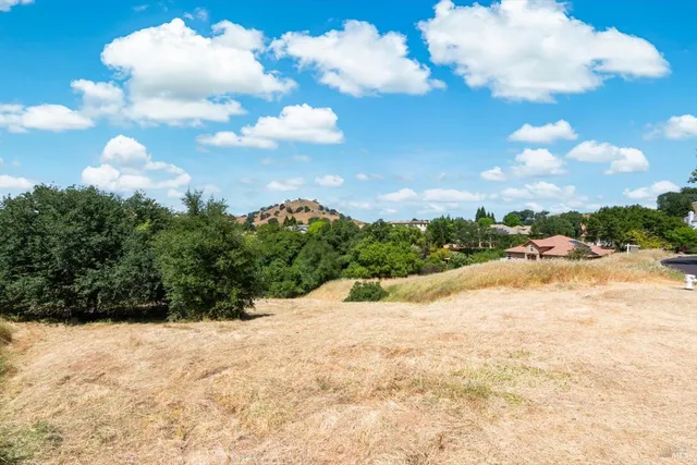 a view of a street with a tree in the background