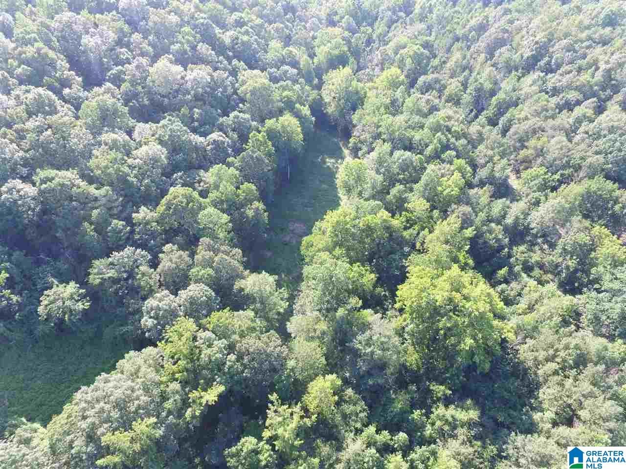 0 Carnes Chapel Road, Unit 113 Gallant, AL 35972 - Photo 23 of 32