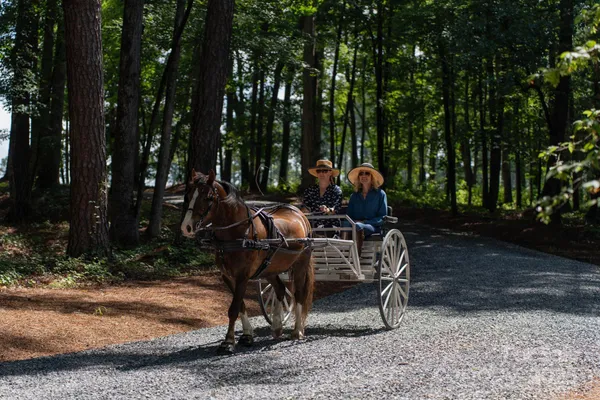 $23,900,000 | 3759 Nc 24-27 Highway, Cameron, NC 28326