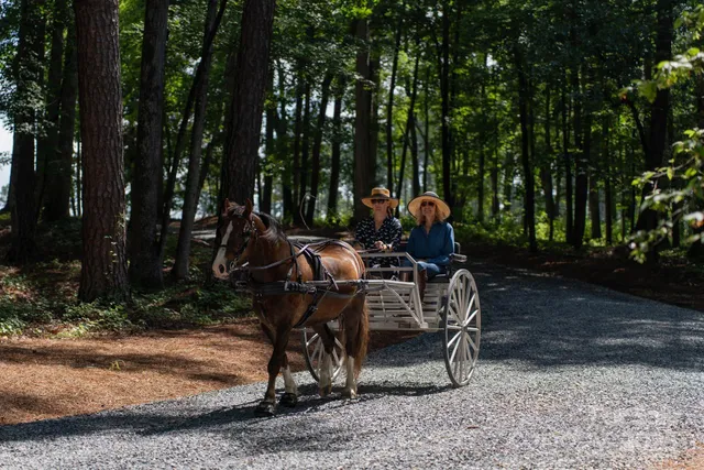 $23,900,000 | 3759 Nc 24-27 Highway, Cameron, NC 28326