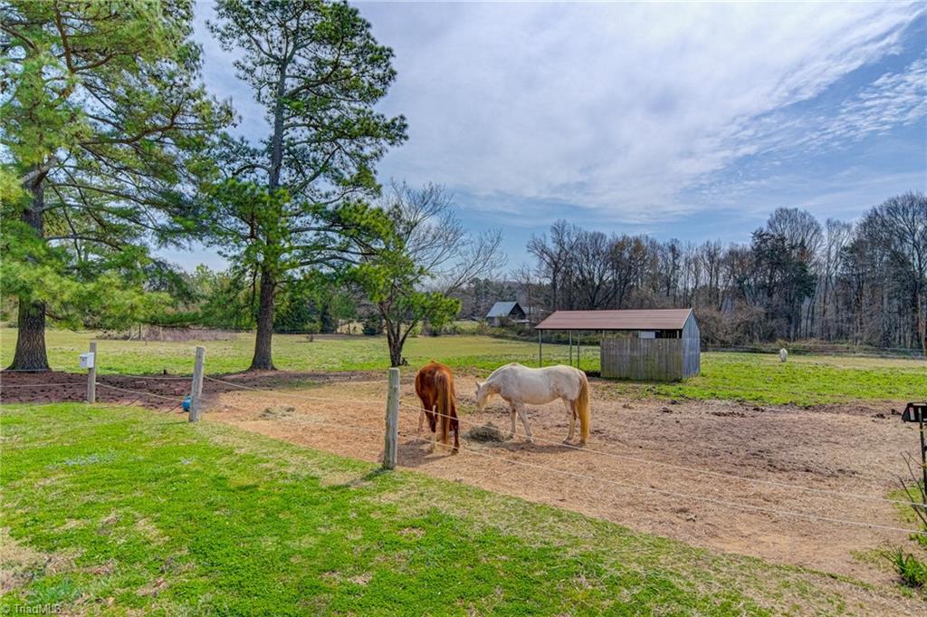 1719 Boones Cave Road Lexington, NC 27295 - Photo 3 of 36 Fenced pastures and ample turnout space including run in sheds