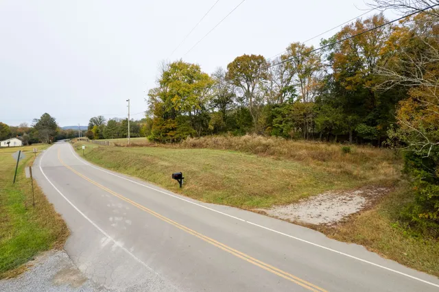 a view of a swimming pool with a yard and large trees