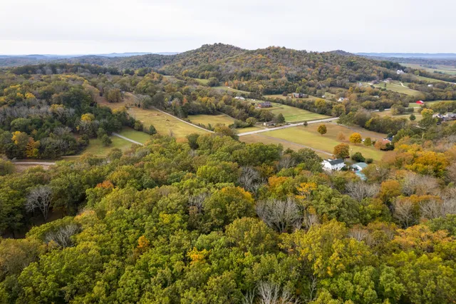 an aerial view of residential houses with outdoor space and trees