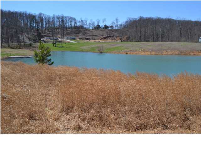8 Fredonia Road, Unit 8 Dunlap, TN 37327 - Photo 1 of 17 Primary Photo