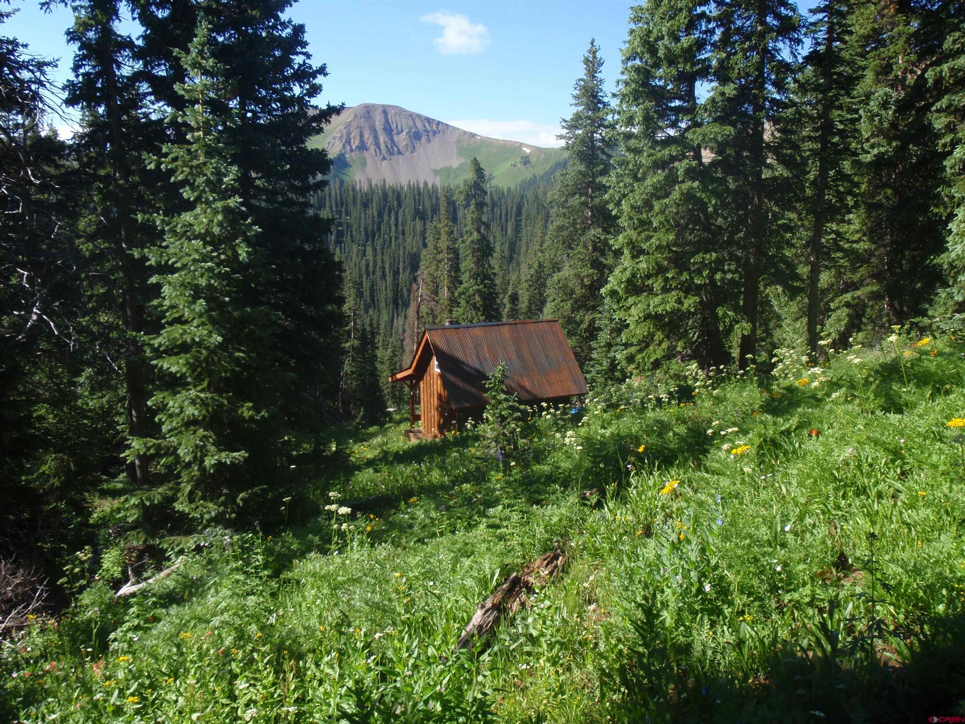 0 Legal Tender Trail Rico, CO 81332 - Photo 2 of 8 a view of a house in a forest
