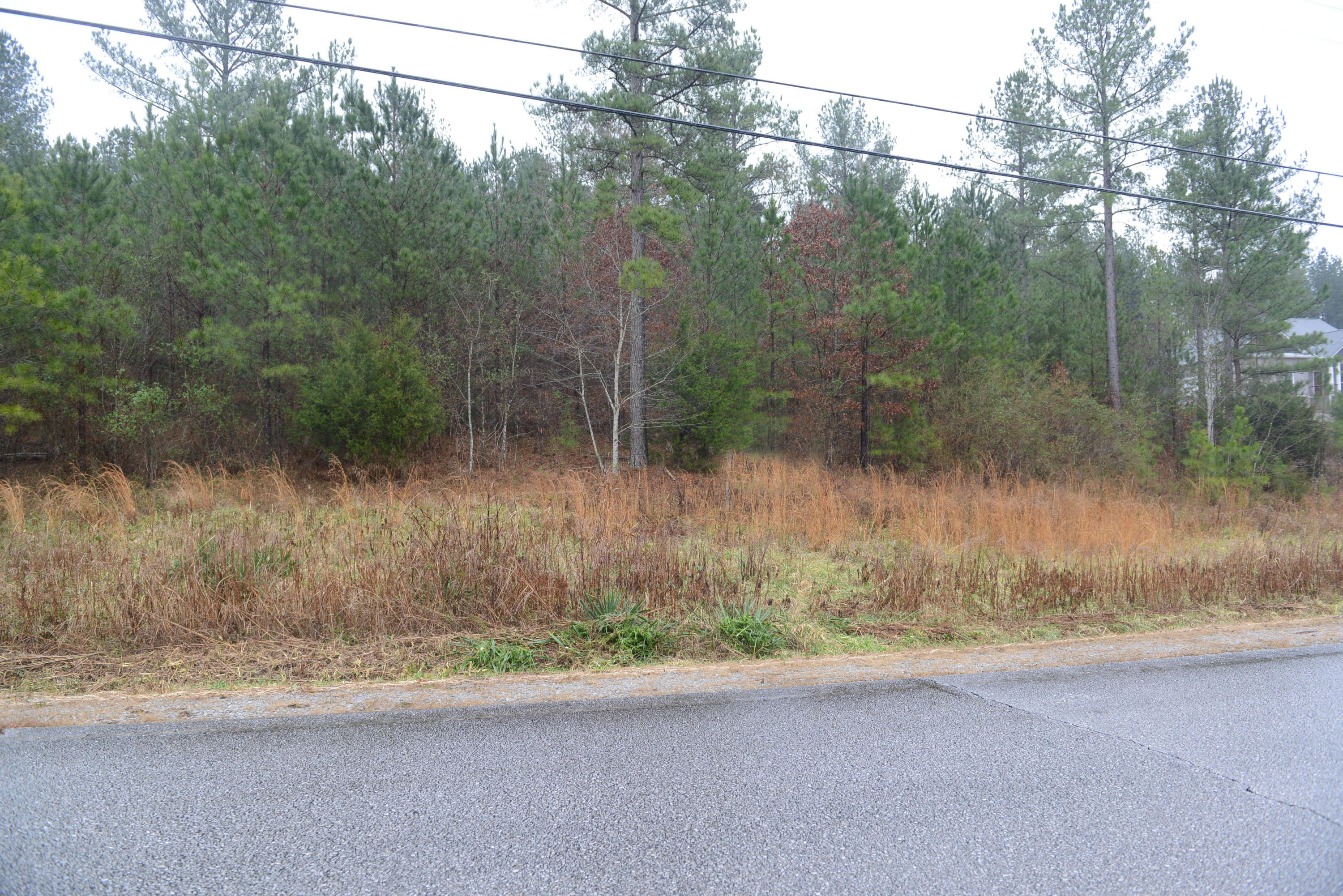 3457 Blythes Ferry Road Dayton, TN 37321 - Photo 1 of 5 DSC_4052