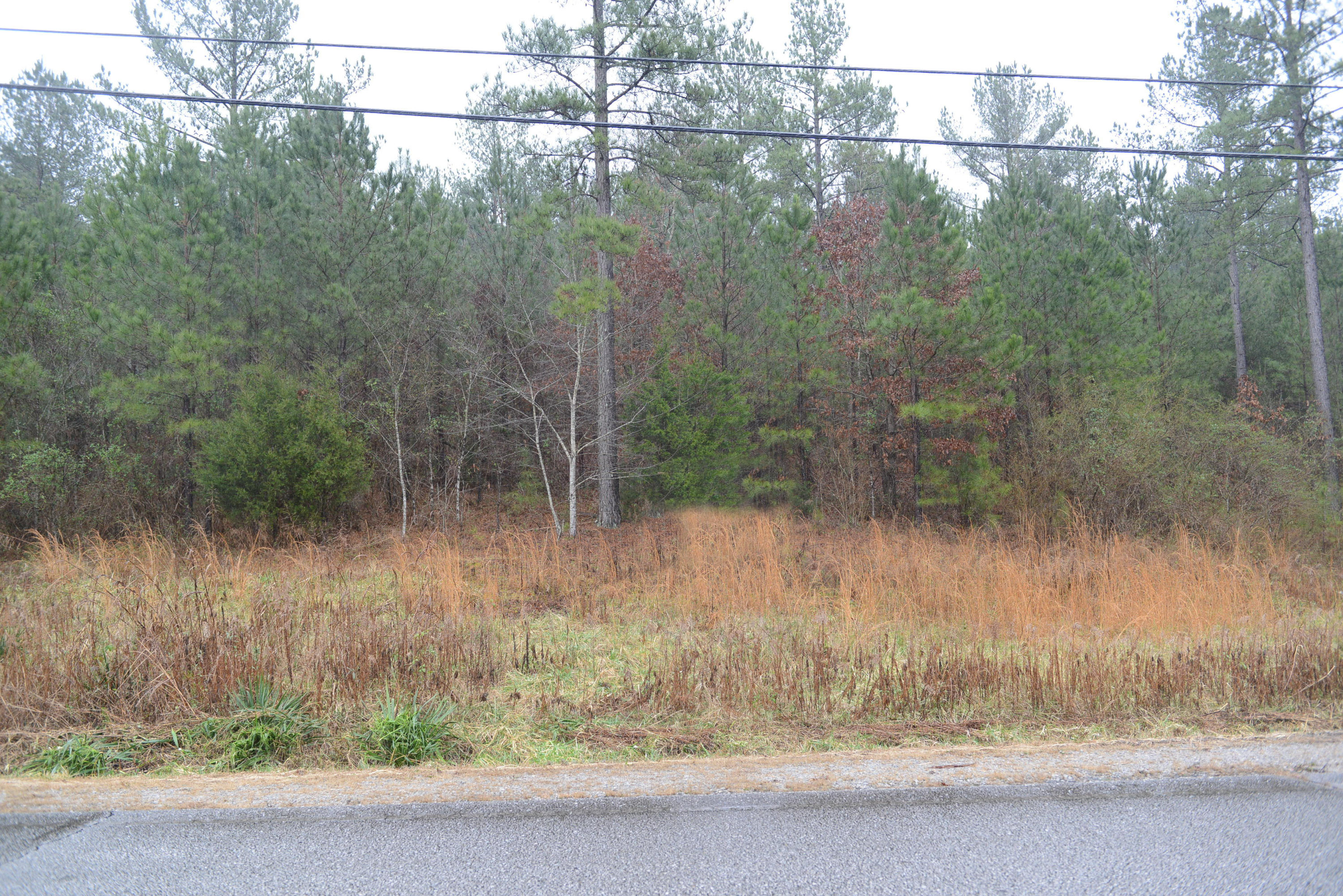 3457 Blythes Ferry Road Dayton, TN 37321 - Photo 2 of 5 DSC_4053